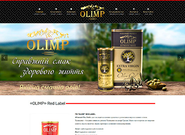 Портфолио веб-студии в Одессе