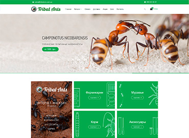 Портфолио веб-студии в Одессе