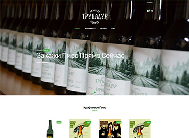 Портфолио веб-студии в Одессе